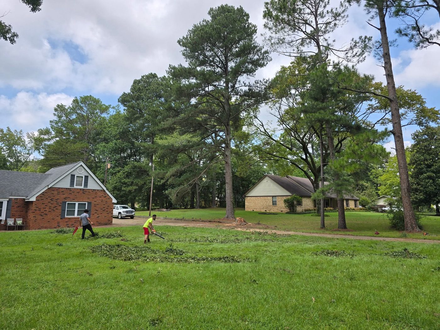 The same yard after the tree was removed and cleaned up
