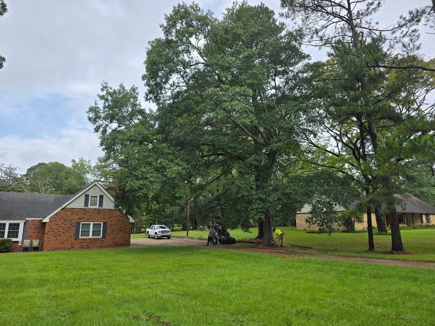 A front yard shaded by a large tree before removal
