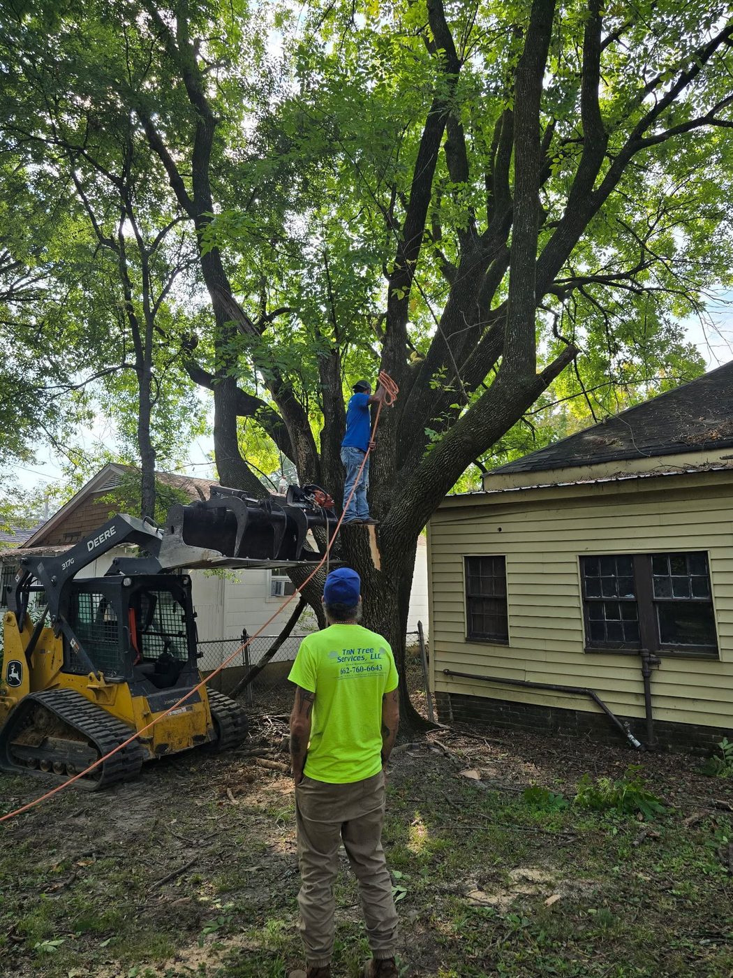 TNN Trees crew taking down a tree beside a house with a skid steer